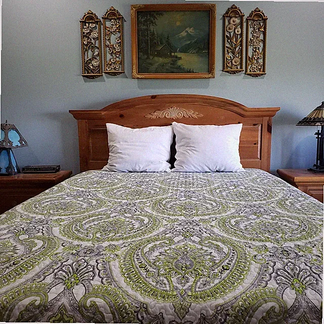 Southshore Comforter Queen 90x102 Green Gray Paisley Quilt Bedding Traditional